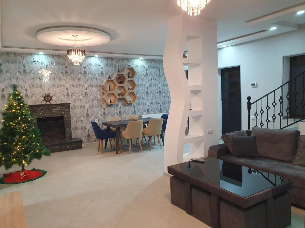 Gesh House Διαμέρισμα Borjomi Εξωτερικό φωτογραφία